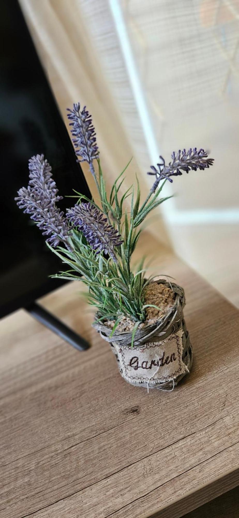 Greta Apartman Hajdúszoboszló